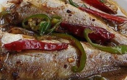 国产精黄鱼视频,鲜美滋味，传承匠心